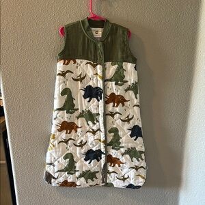 Dinosaur Print Kids Sleep Sack 6-12 months